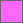 square-color-pink